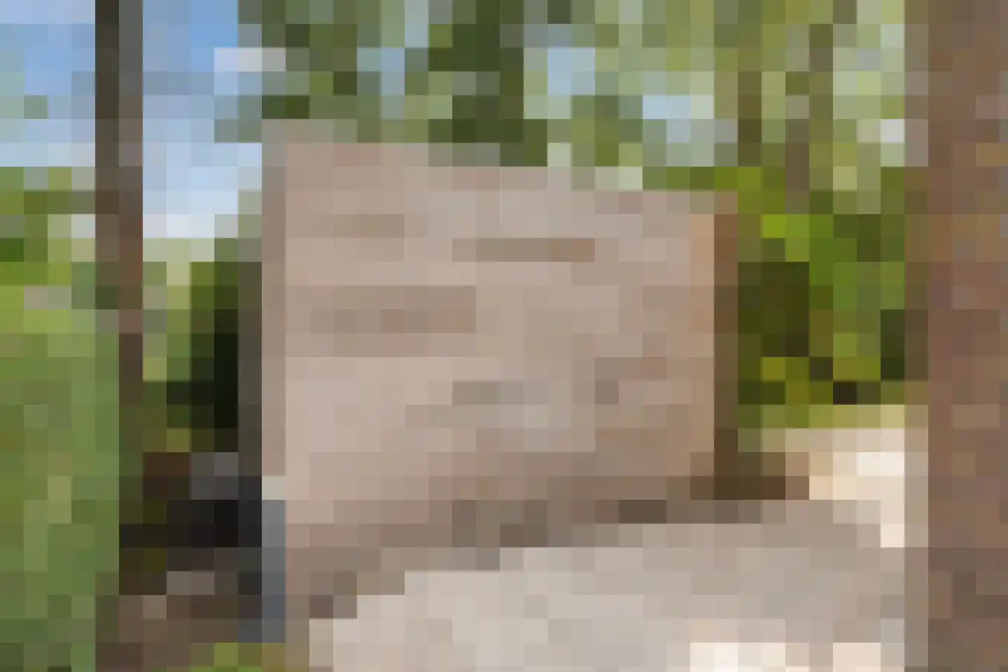 Haven 42 Goutum thumbnail 43