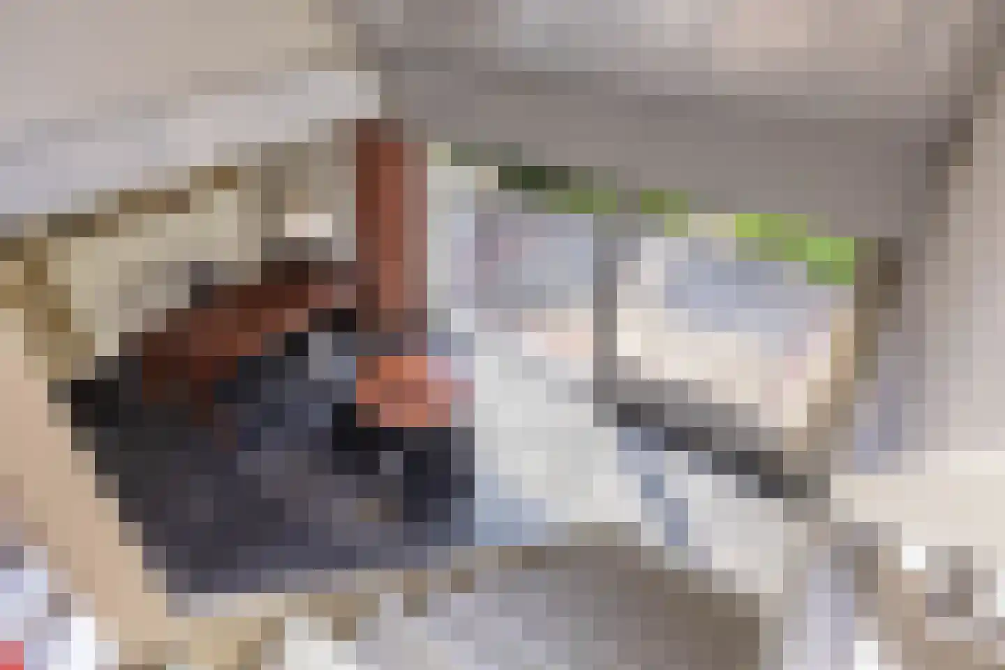 Haven 42 Goutum thumbnail 44