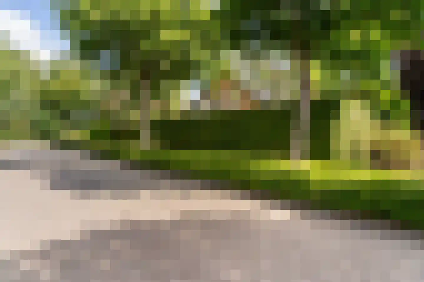 Haven 42 Goutum thumbnail 45