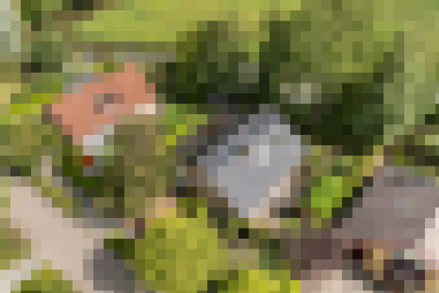 Haven 42 Goutum thumbnail 53