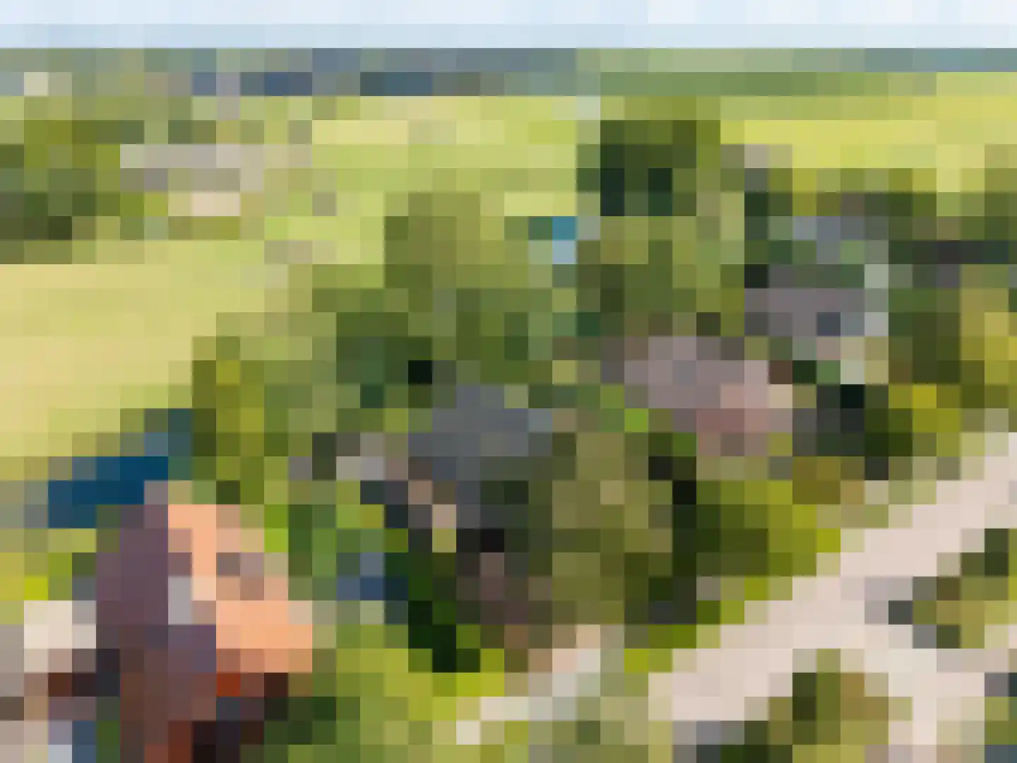 Haven 42 Goutum thumbnail 6