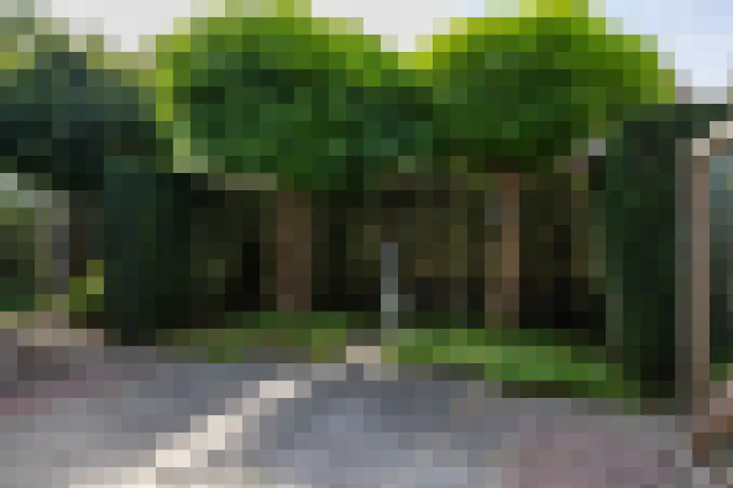 Haven 42 Goutum thumbnail 63