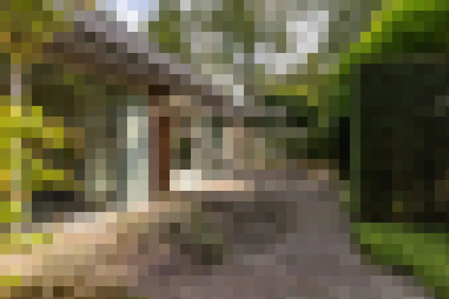 Haven 42 Goutum thumbnail 64