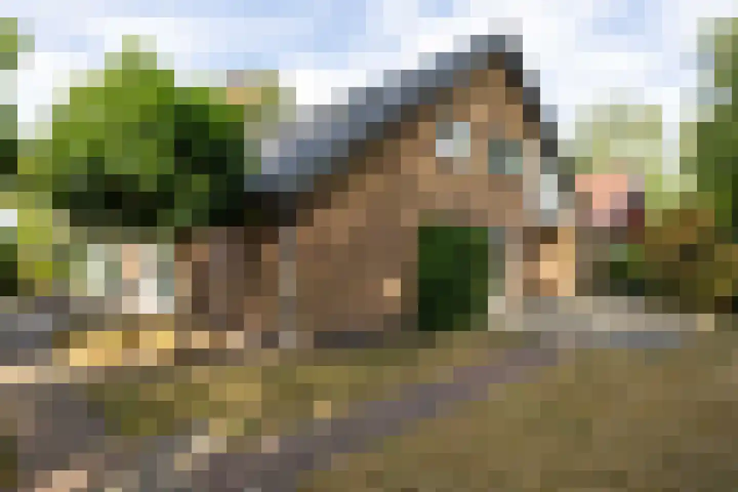 Haven 42 Goutum thumbnail 66