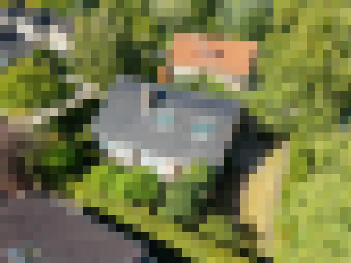 Haven 42 Goutum thumbnail 7
