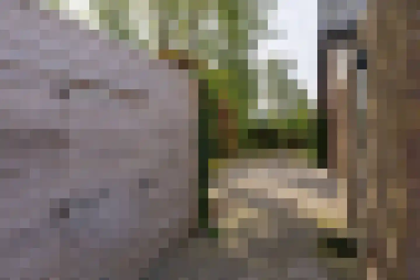 Haven 42 Goutum thumbnail 70
