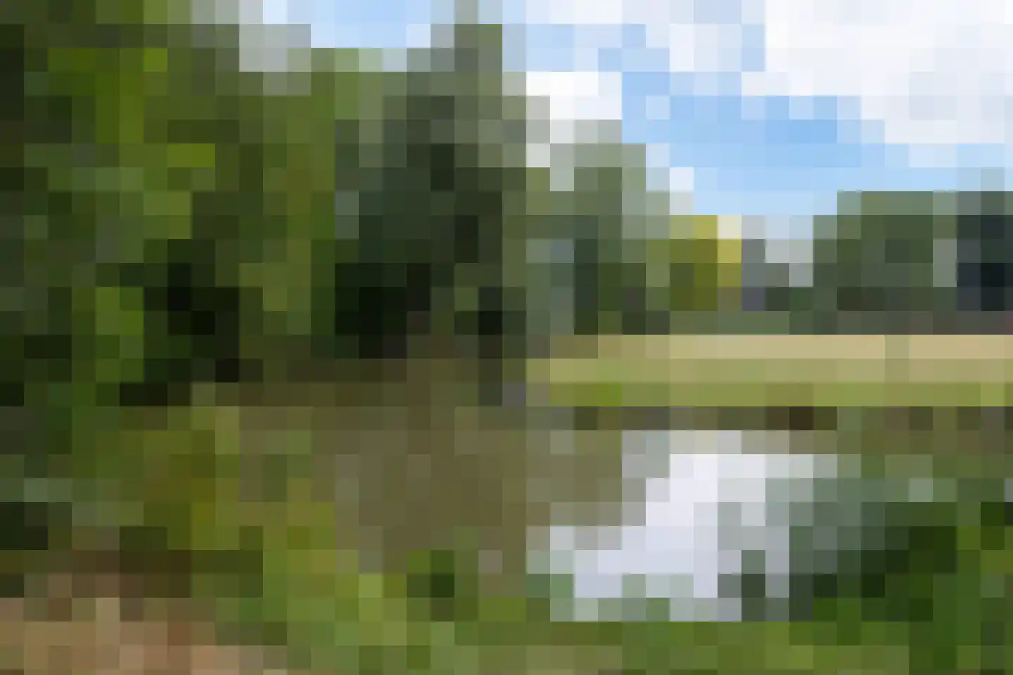 Haven 42 Goutum thumbnail 75