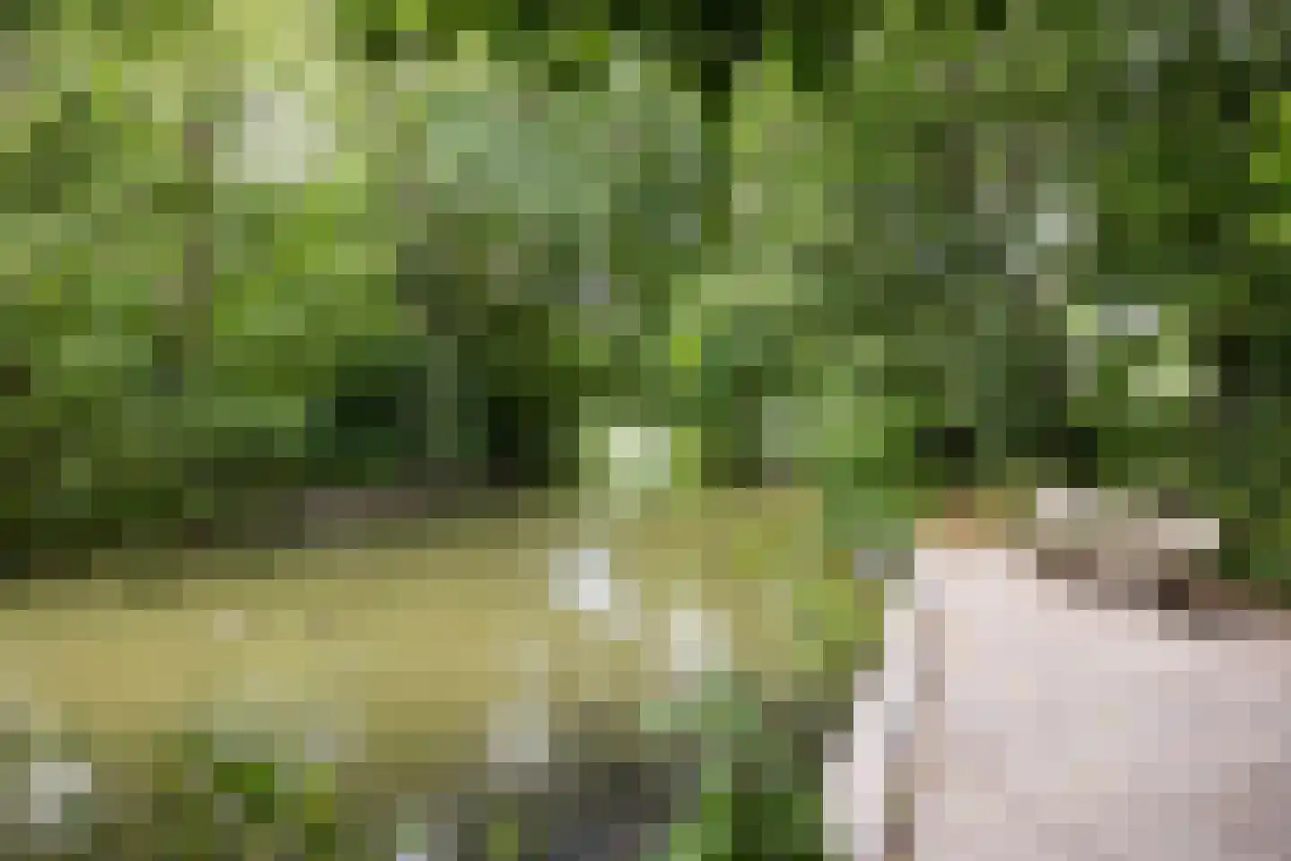 Haven 42 Goutum thumbnail 76