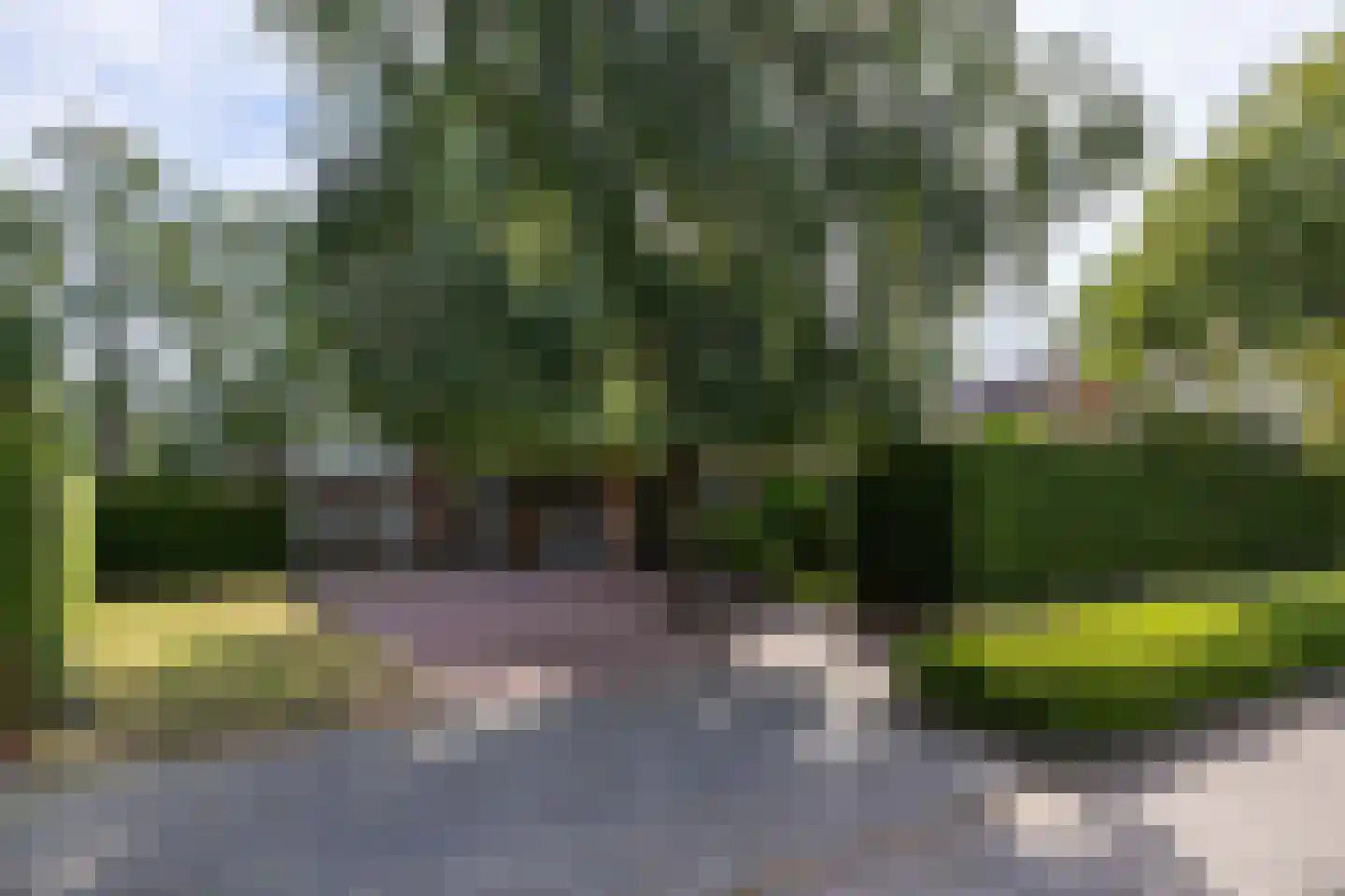 Haven 42 Goutum thumbnail 77