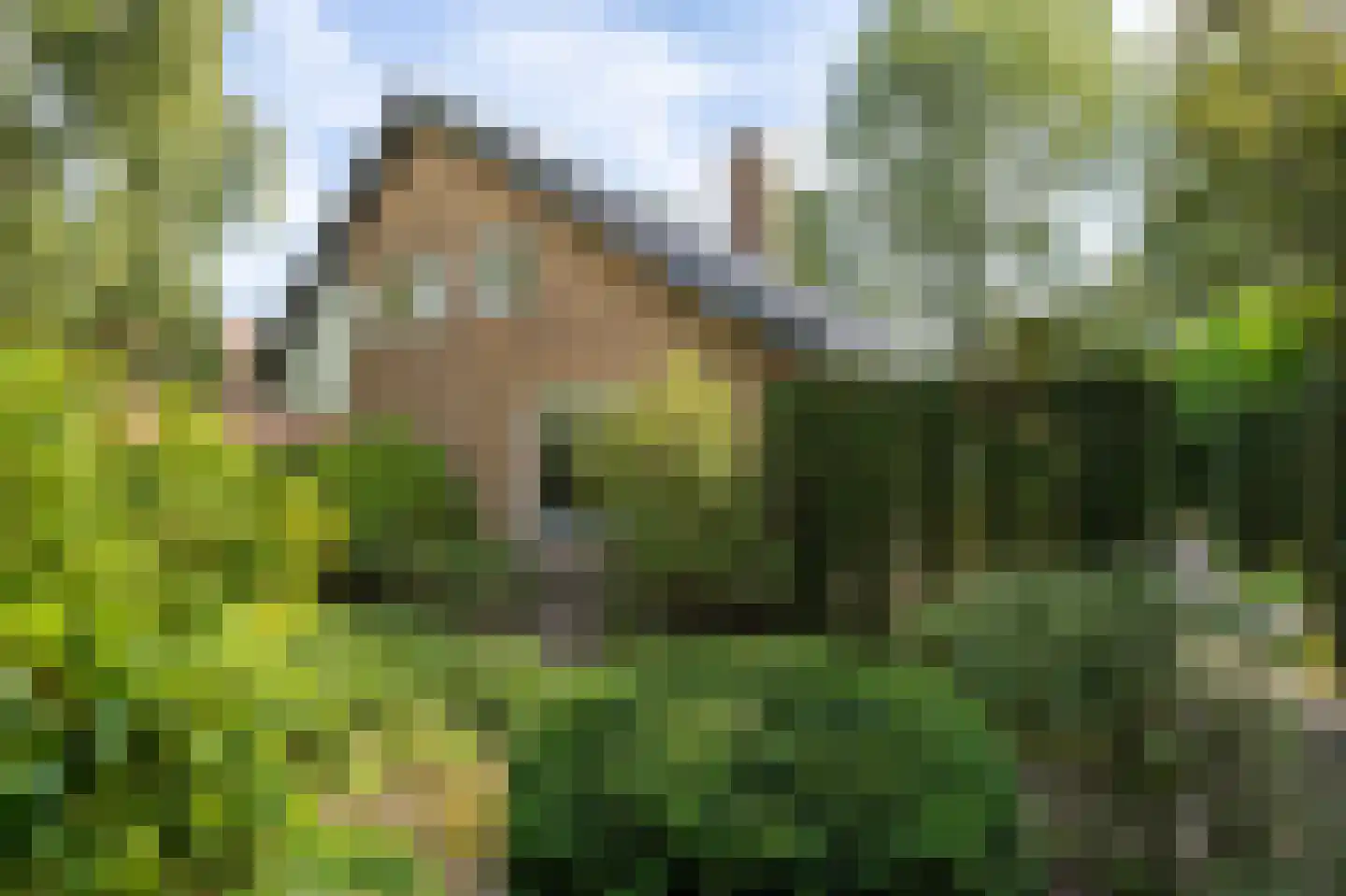 Haven 42 Goutum thumbnail 8