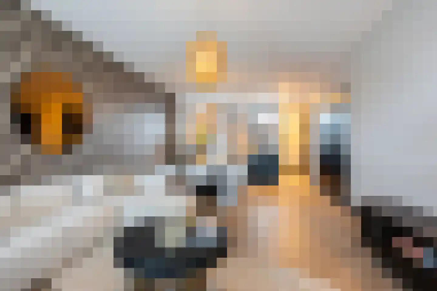 Haven 44 Maassluis thumbnail 10