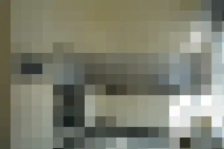 Haven 5 Sluis thumbnail 10