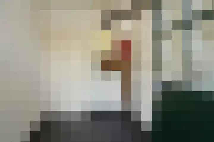 Haven 5 Sluis thumbnail 12