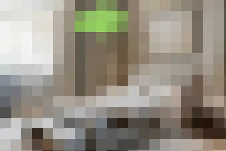 Haven 5 Sluis thumbnail 18