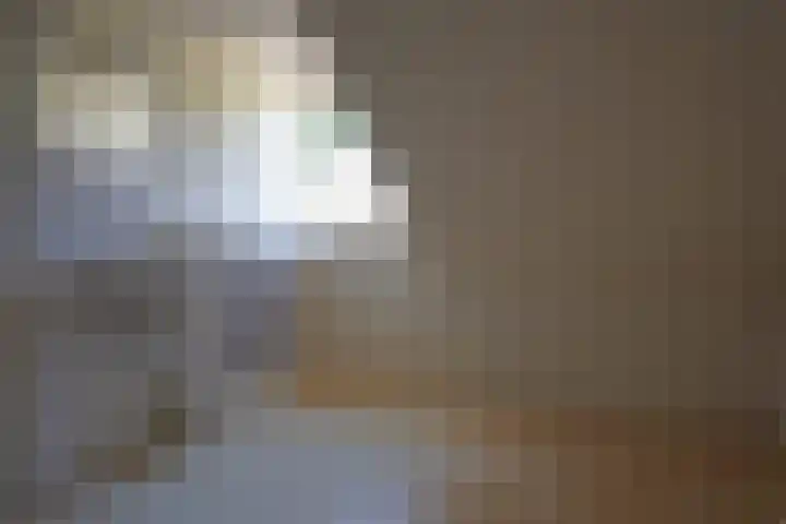 Haven 5 Sluis thumbnail 19