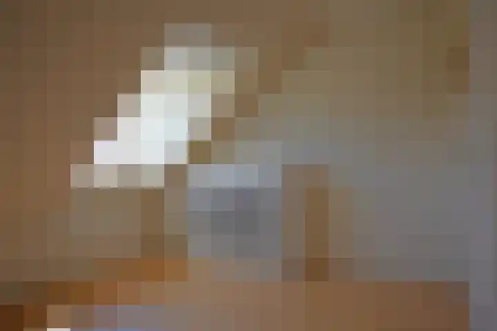 Haven 5 Sluis thumbnail 22