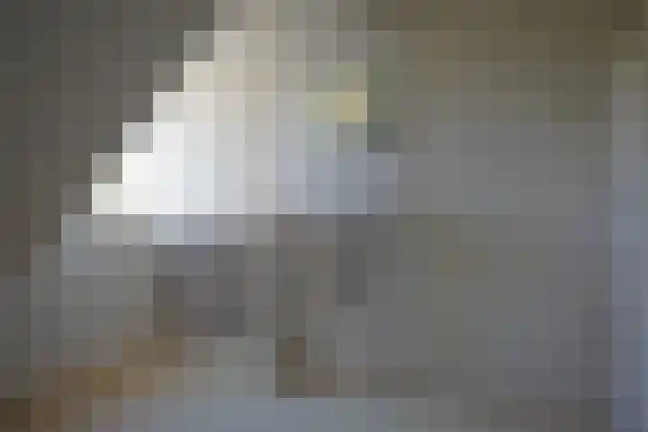 Haven 5 Sluis thumbnail 25