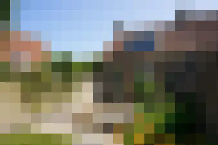 Haven 5 Sluis thumbnail 28