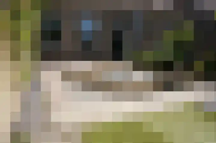 Haven 5 Sluis thumbnail 29