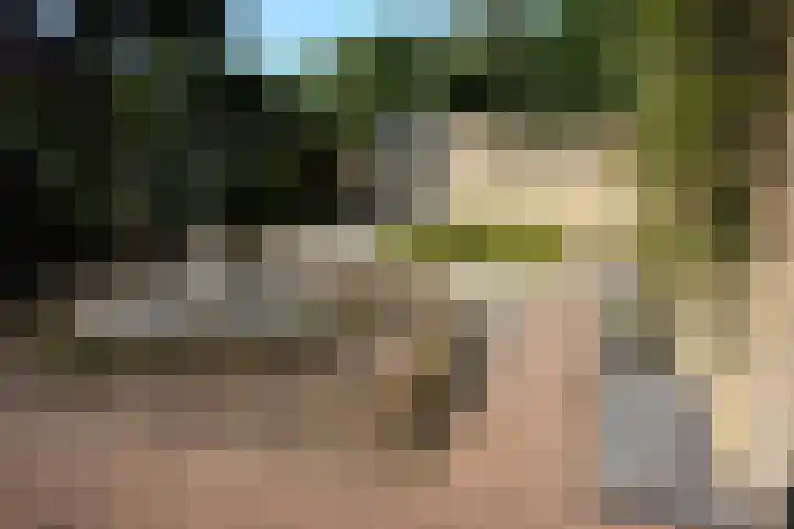 Haven 5 Sluis thumbnail 31