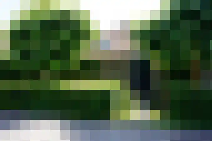 Haven 5 Sluis thumbnail 32