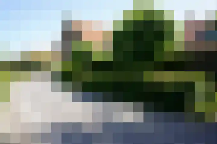 Haven 5 Sluis thumbnail 33
