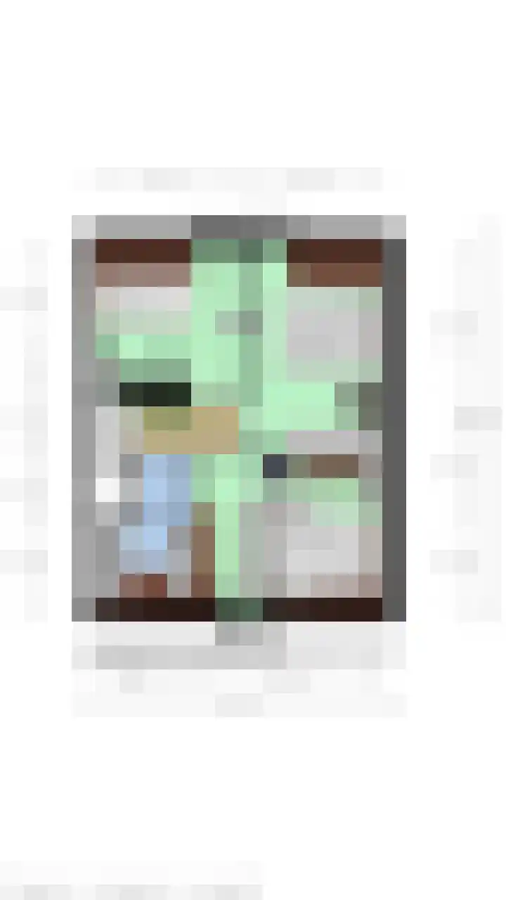 Haven 5 Sluis thumbnail 38