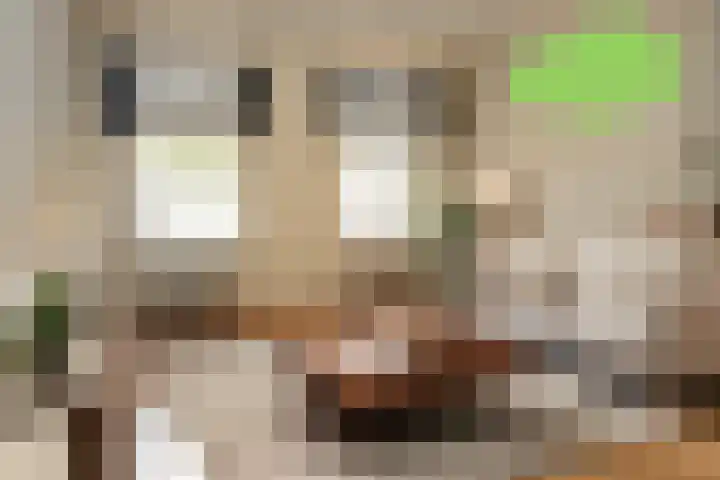 Haven 5 Sluis thumbnail 5