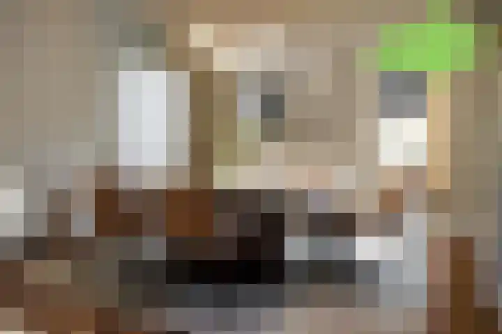Haven 5 Sluis thumbnail 8