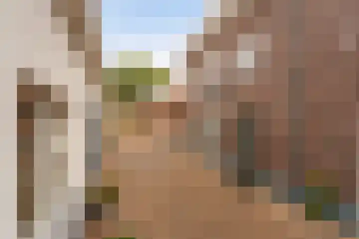 Haven 5 Vollenhove thumbnail 10