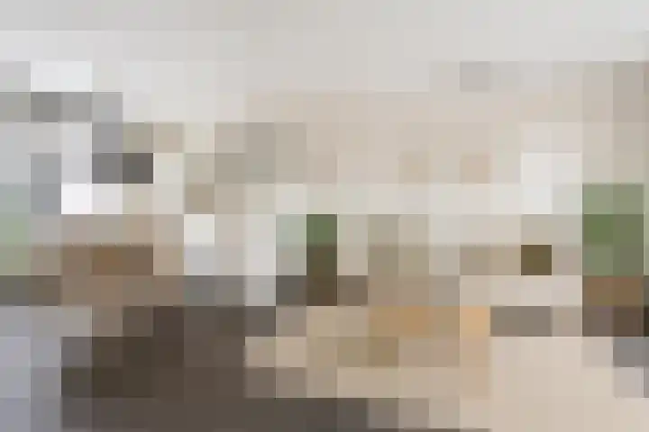 Haven 5 Vollenhove thumbnail 20
