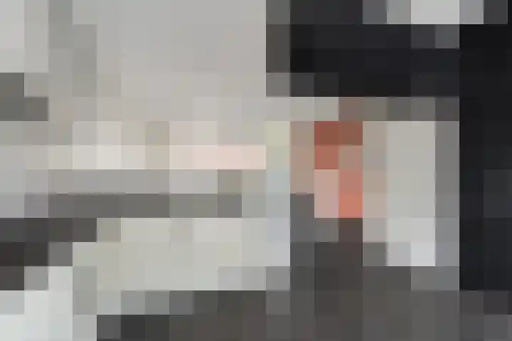 Haven 5 Vollenhove thumbnail 21