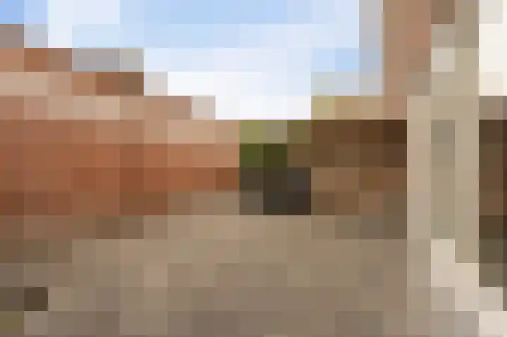 Haven 5 Vollenhove thumbnail 27