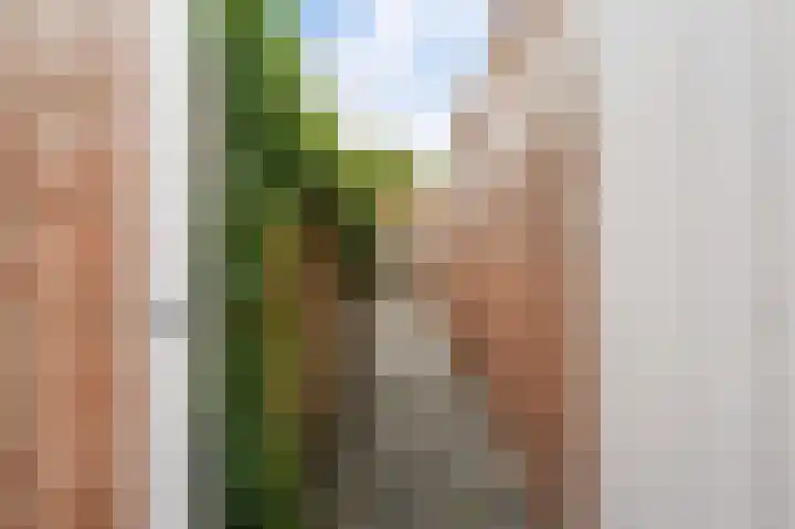 Haven 5 Vollenhove thumbnail 31