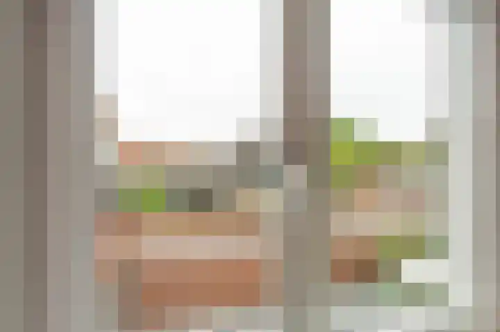 Haven 5 Vollenhove thumbnail 41