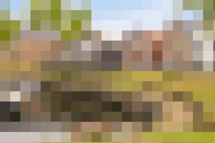 Haven 5 Vollenhove thumbnail 5