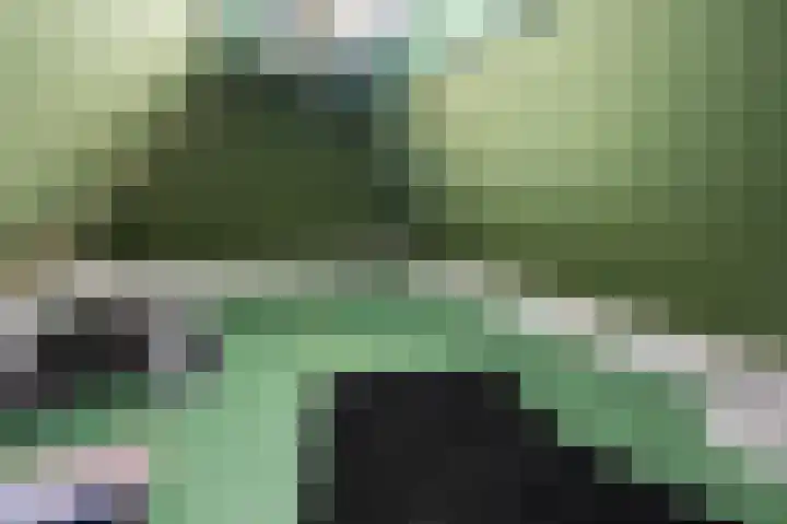 Haven 5 Vollenhove thumbnail 51