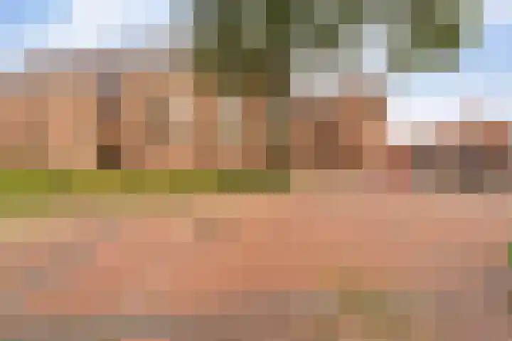 Haven 5 Vollenhove thumbnail 53