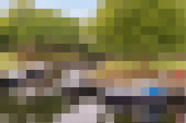 Haven 5 Vollenhove thumbnail 6