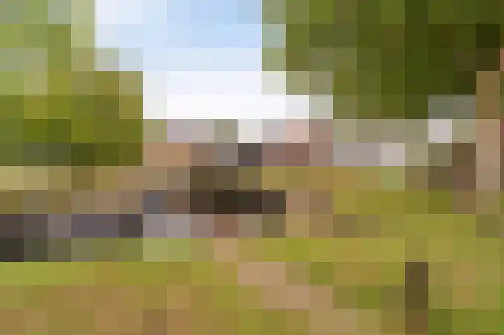 Haven 5 Vollenhove thumbnail 7