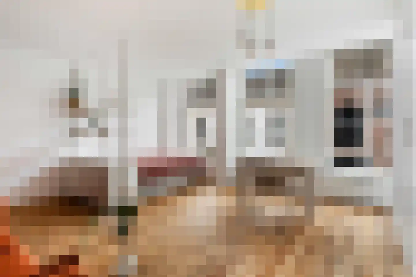 Haven 56 A Leiden thumbnail 13