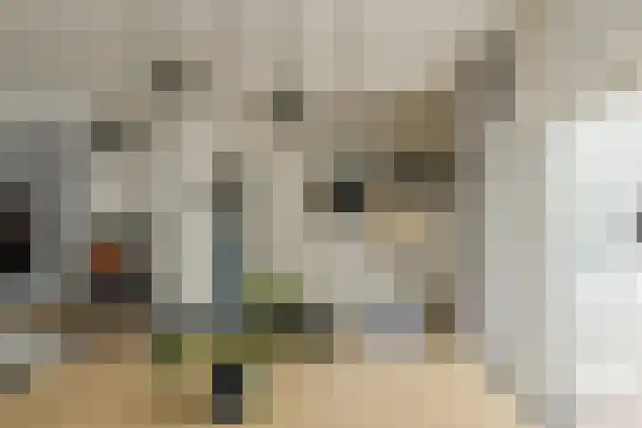 Haven 59 Geertruidenberg thumbnail 15