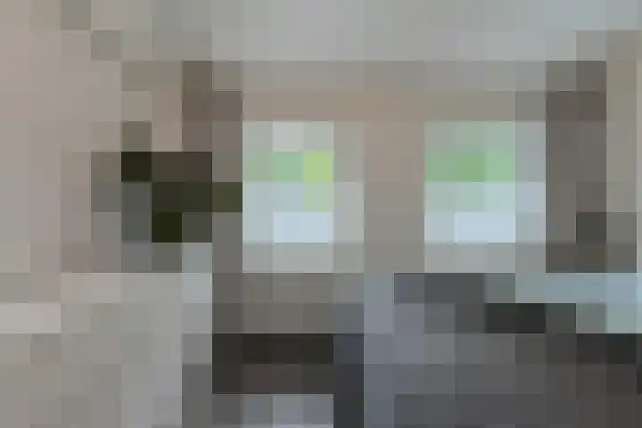 Haven 59 Geertruidenberg thumbnail 28