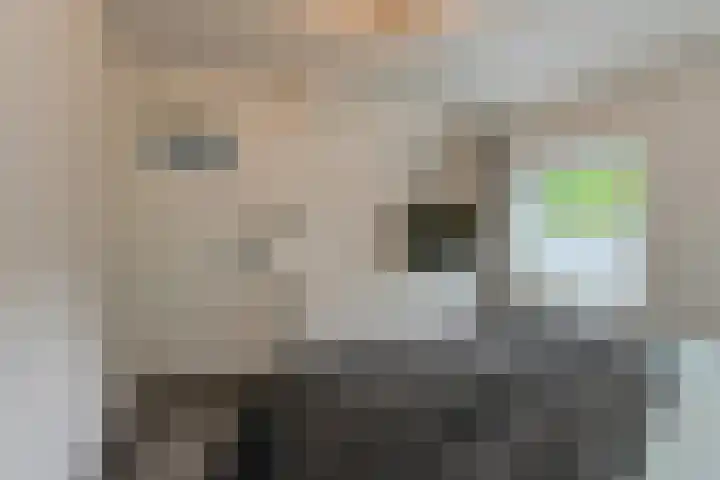Haven 59 Geertruidenberg thumbnail 29