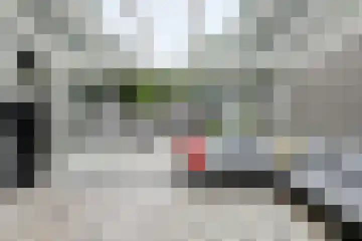 Haven 59 Geertruidenberg thumbnail 37