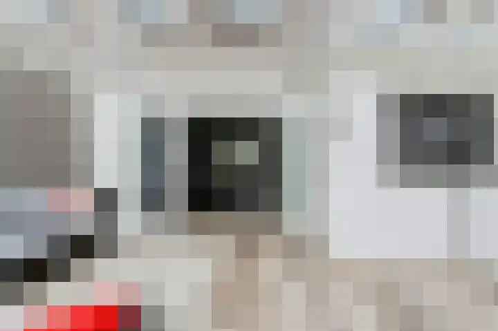 Haven 59 Geertruidenberg thumbnail 39