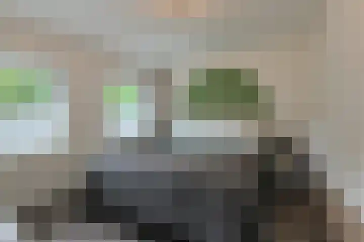 Haven 59 Geertruidenberg thumbnail 4