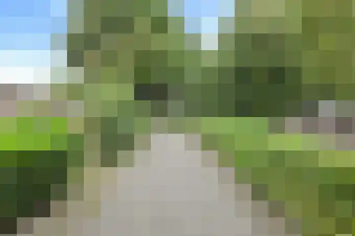 Haven 59 Geertruidenberg thumbnail 47