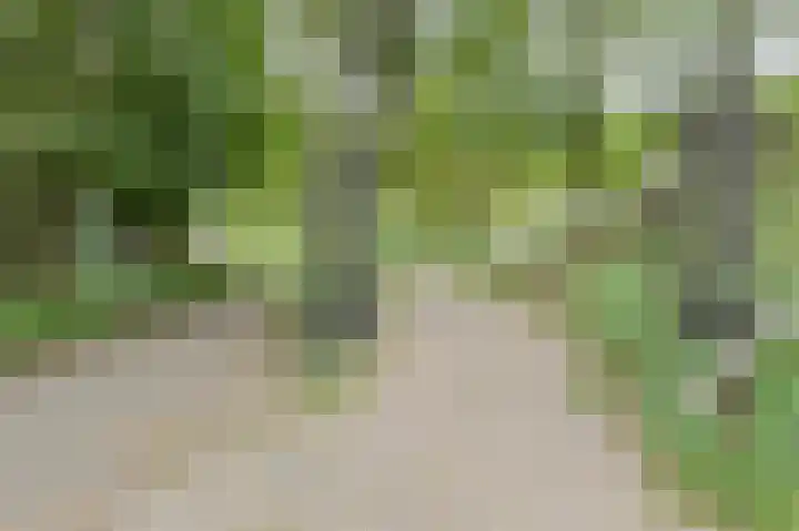 Haven 59 Geertruidenberg thumbnail 48