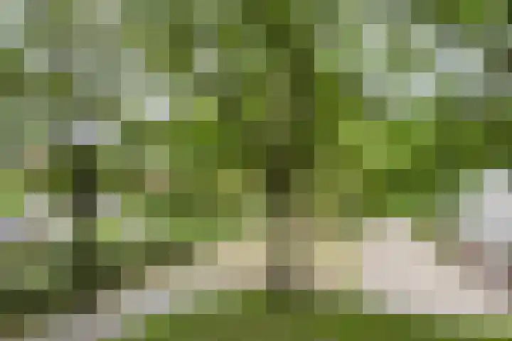 Haven 59 Geertruidenberg thumbnail 49